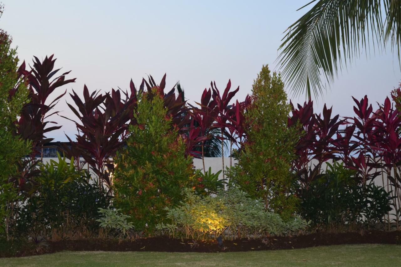 Villa Putih Lovina  Bagian luar foto