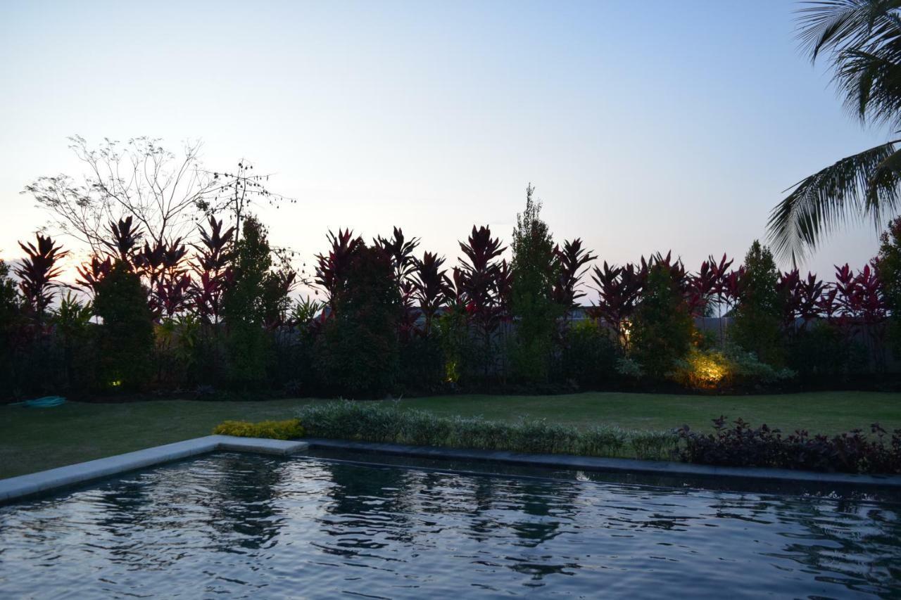 Villa Putih Lovina  Bagian luar foto